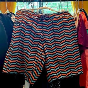 Patagonia Boardshorts